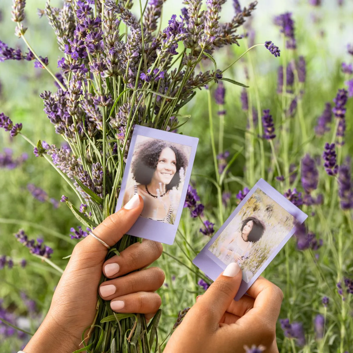 Mini Film Soft Lavender - Image 2