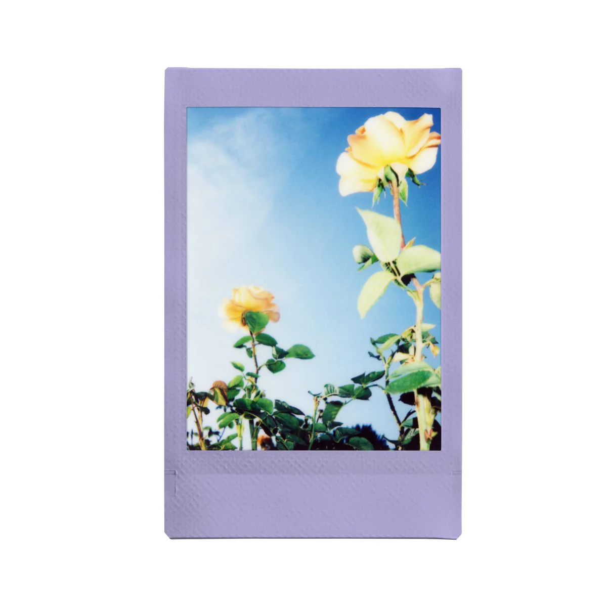 Mini Film Soft Lavender - Image 4