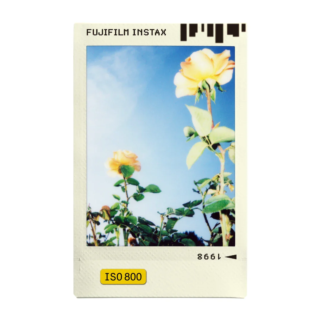 Photo Slide Film - Image 4